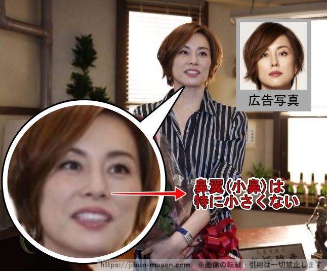 鼻翼(小鼻)は特に小さくない