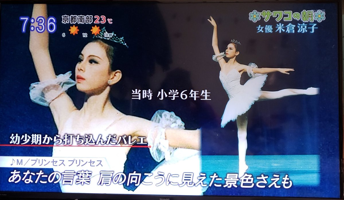 クラシックバレエを習っていた米倉涼子の画像