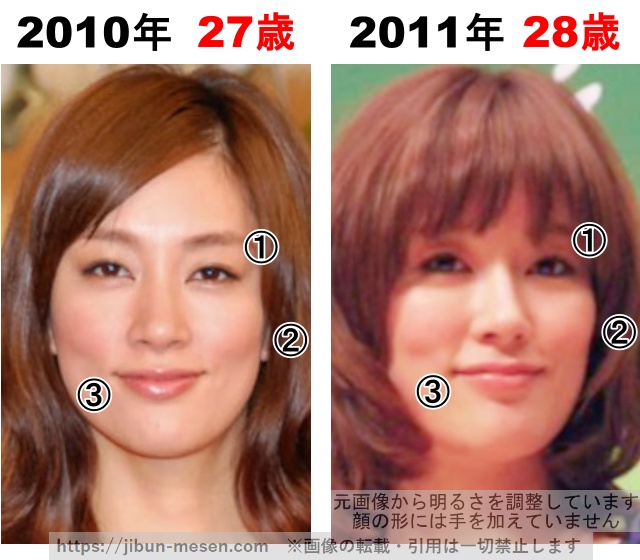 水川あさみの整形検証2010年〜2011年の画像