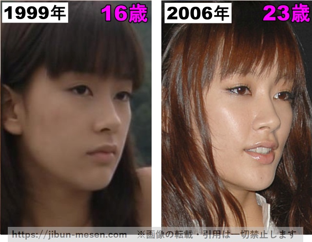 水川あさみの鼻の整形検証1999年〜2006年の画像
