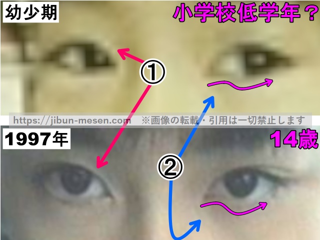 水川あさみの目の整形検証幼少期〜1997年（拡大）の画像