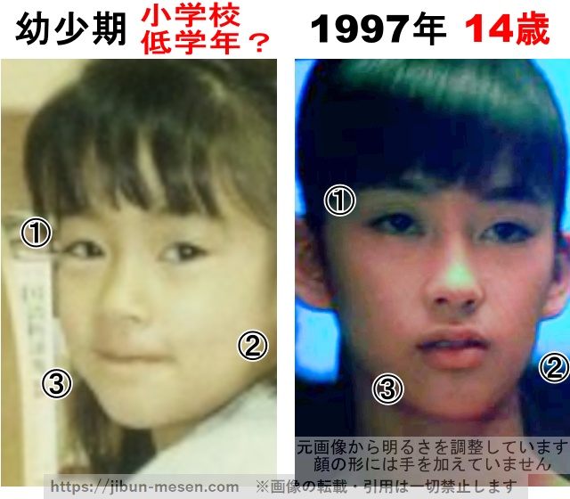 水川あさみの整形検証幼少期〜1997年の画像