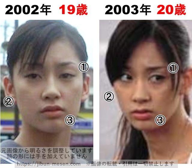 水川あさみの整形検証2002年〜2003年の画像