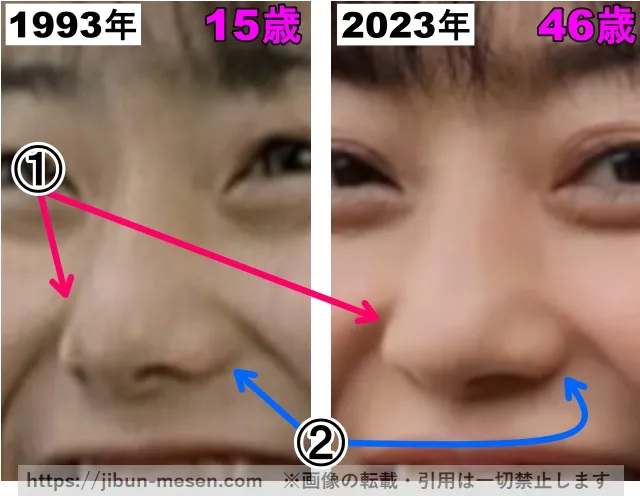 菅野美穂の鼻の整形検証1993年〜2023年（拡大）