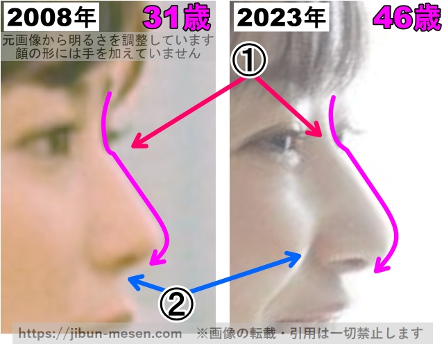 菅野美穂の鼻の整形検証2008年〜2023年（拡大）の画像