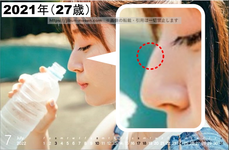鼻の中央が出っ張っている鈴木愛理の画像