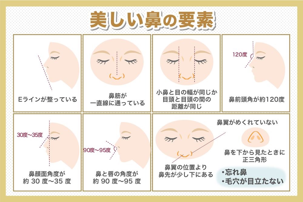 Eラインが整っている 鼻筋が一直線に通っている 小鼻と目の幅が同じか目頭と目頭の間の距離が同じ 鼻前頭角が約120度 鼻顔面角度が約30度～35度 鼻と唇の角度が約90度～95度 鼻翼の位置より鼻先が少し下にある 鼻翼がめくれていない 鼻を下から見たときに正三角形 忘れ鼻 毛穴が目立たない