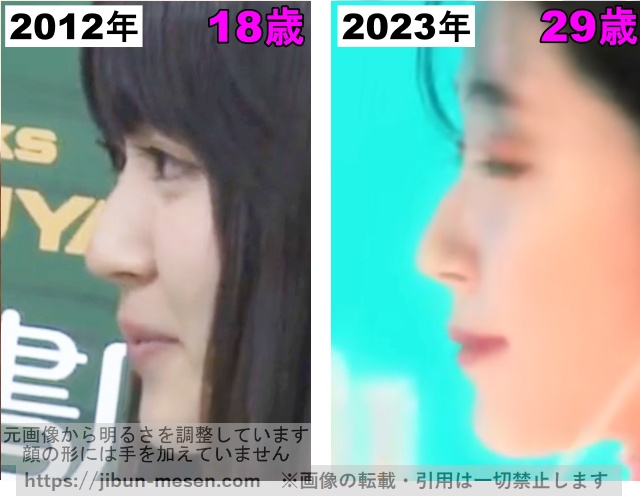 鈴木愛理の鼻の整形検証2012年〜2023年（横顔）の画像