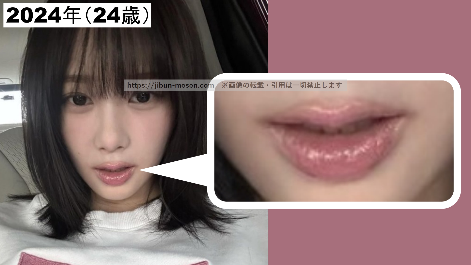 ジゼルの唇のメイクの比較2024年の画像