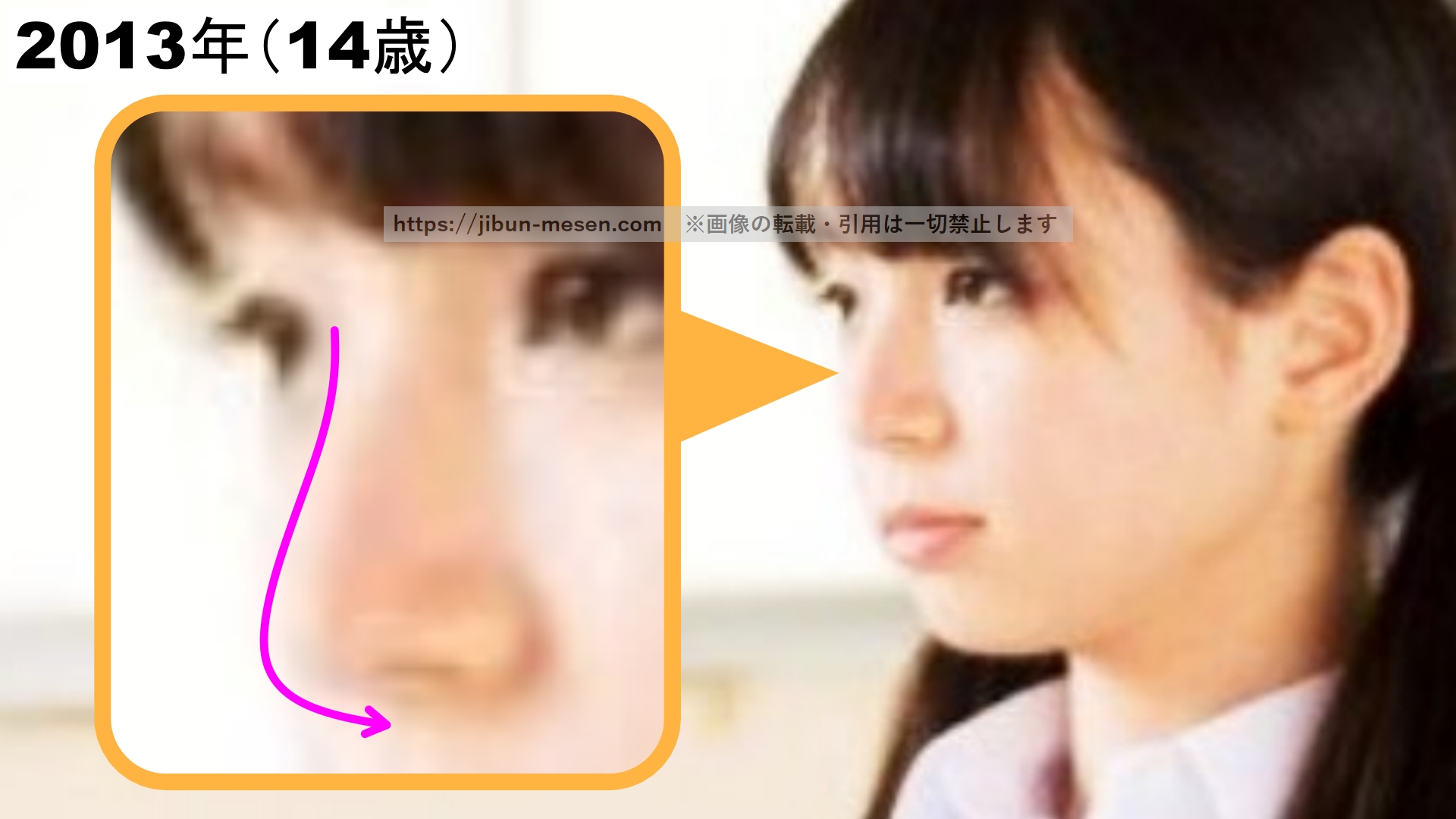 マシロの横顔(2013年)の画像