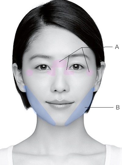 エラの解説（美的HPより引用）の画像