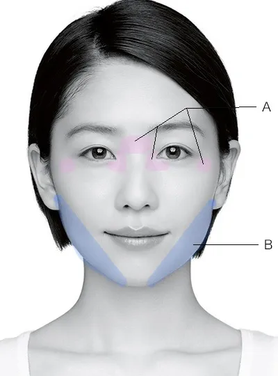 エラの解説(美的HPより引用)