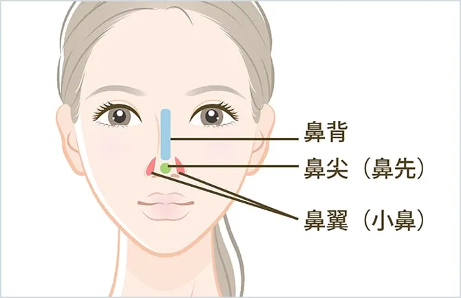 鼻の部位の名称(ジョウクリニックHPより引用)