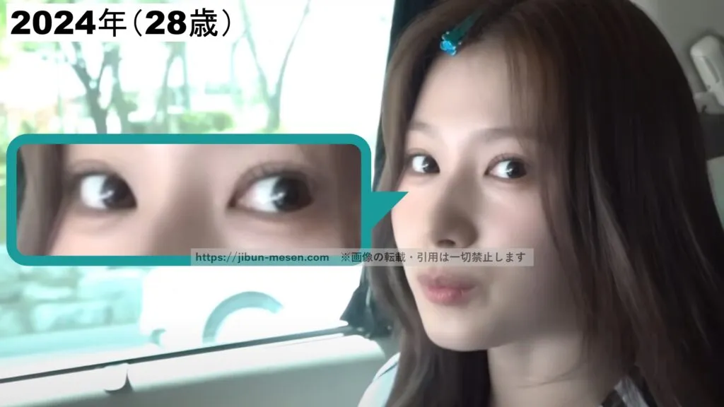 移動中のTWICEサナ