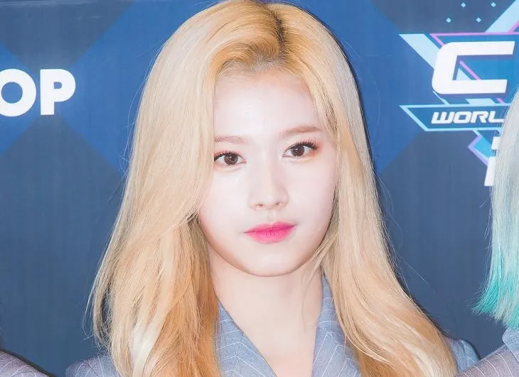 TWICEのサナ(出典:Danmee)