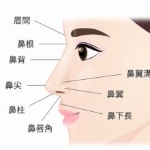 鼻の部位の名称（リッツ美容外科HPより引用）の画像