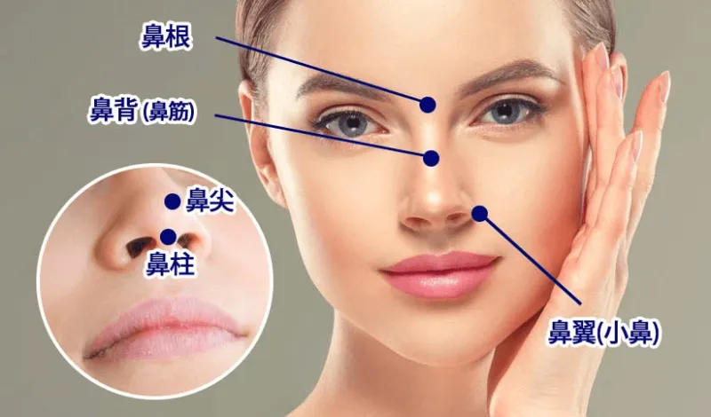 鼻の部位の名称(大西皮フ科形成外科医院HPより引用)