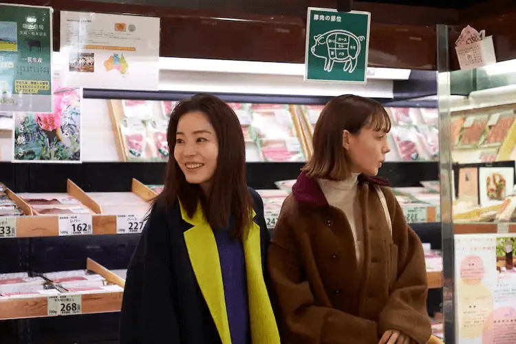 ドラマ「今夜すきやきだよ」に出演した蓮佛美沙子