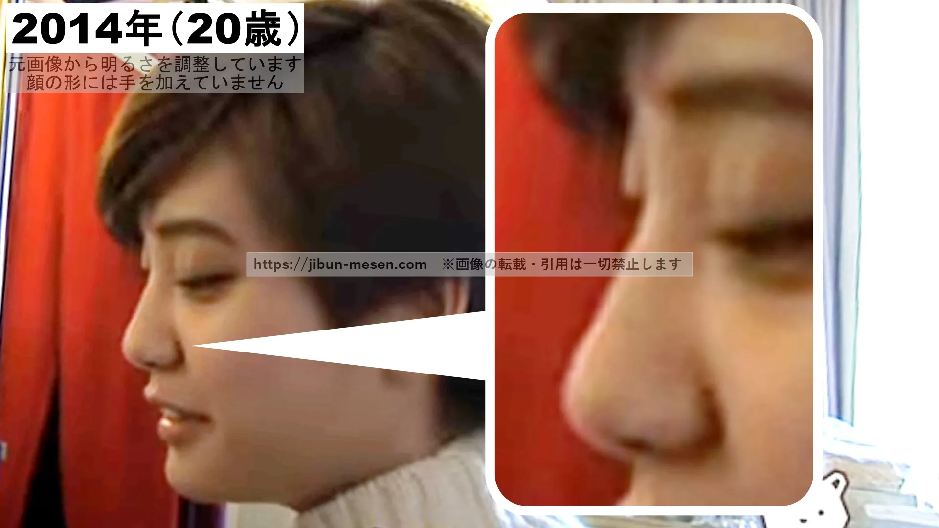 山崎紘菜の鼻の整形検証2014年（横顔）