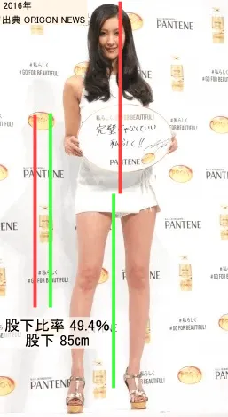 パンテーン『2016年秋 新CM発表会』に出席した菜々緒（出典：ORICON NEWS）