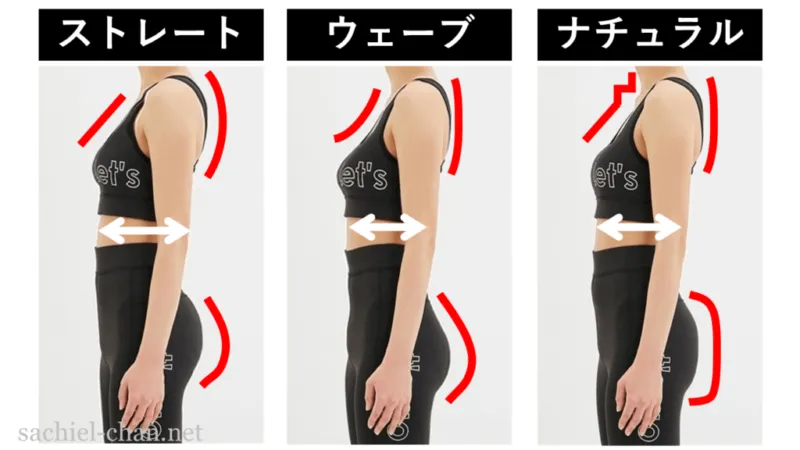 骨格診断（出典：MATOI）