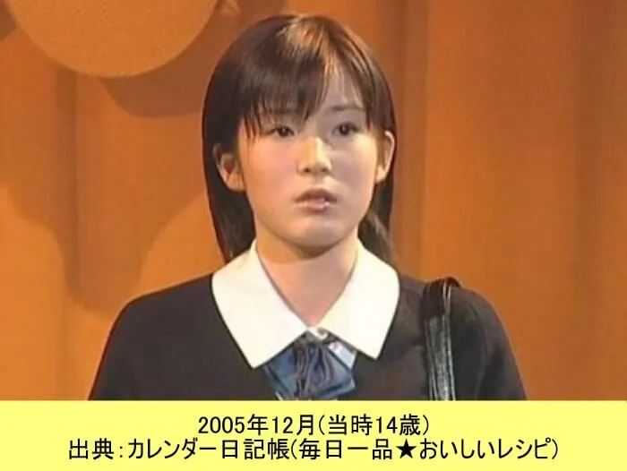 第1回スーパー・ヒロイン・オーディション ミス・フェニックスでグランプリを受賞した蓮佛美沙子2005_12 出典:カレンダー日記帳(毎日一品★おいしいレシピ)