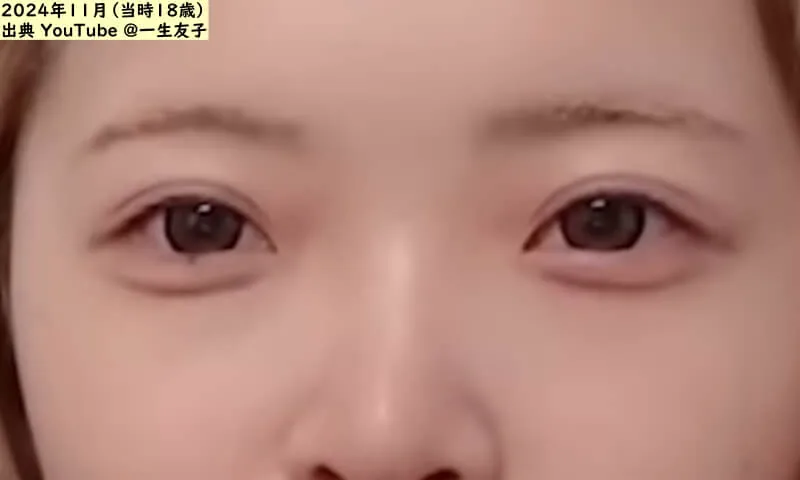 一生友子ひなこの目（出典：YouTube）