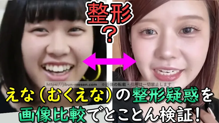 えな（むくえな）は鼻を整形済み!?顔が変わった理由をデビュー当時から2025年現在の顔写真の比較で徹底検証！