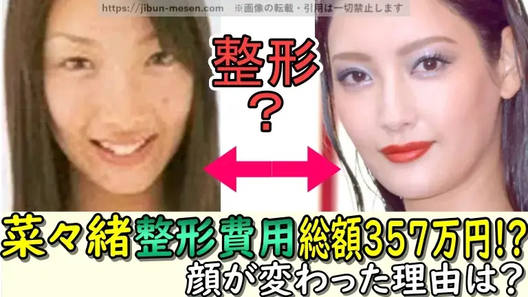 菜々緒整形費用総額357万円!? 顔が変わった理由は？